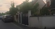 avatar petsitter