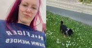 avatar petsitter