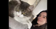 avatar petsitter