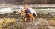 avatar petsitter