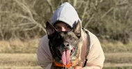 avatar petsitter
