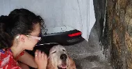 avatar petsitter