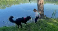 avatar petsitter