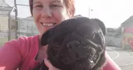 avatar petsitter