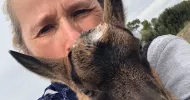 avatar petsitter