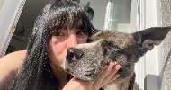 avatar petsitter
