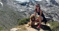 avatar petsitter