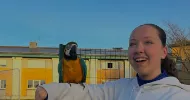 avatar petsitter