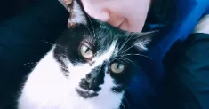 avatar petsitter