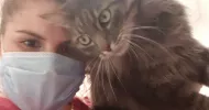 avatar petsitter