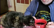 avatar petsitter