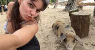 avatar petsitter
