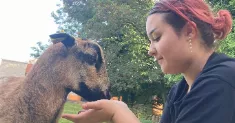 avatar petsitter
