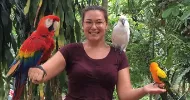 avatar petsitter