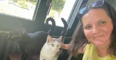 avatar petsitter