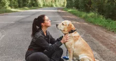 avatar petsitter
