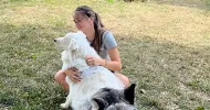 avatar petsitter