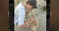 avatar petsitter