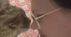 avatar petsitter