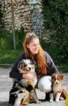avatar petsitter