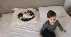 avatar petsitter
