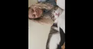 avatar petsitter