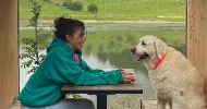 avatar petsitter