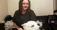 avatar petsitter