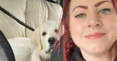 avatar petsitter