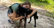 avatar petsitter