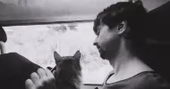 avatar petsitter