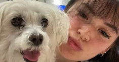 avatar petsitter