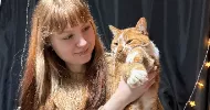 avatar petsitter
