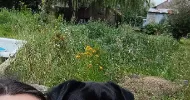 avatar petsitter
