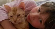 avatar petsitter