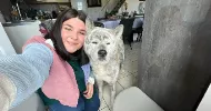 avatar petsitter