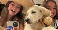 avatar petsitter