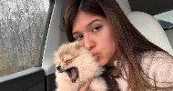 avatar petsitter