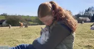 avatar petsitter