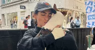avatar petsitter