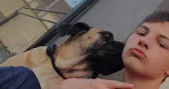 avatar petsitter