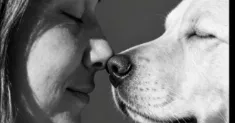 avatar petsitter