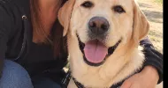avatar petsitter
