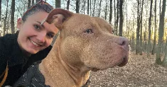 avatar petsitter
