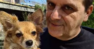 avatar petsitter