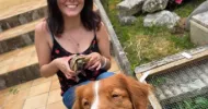 avatar petsitter