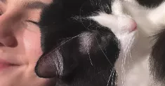 avatar petsitter