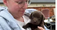 avatar petsitter