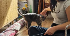 avatar petsitter