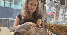 avatar petsitter